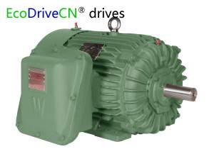 EcoDriveCN® explosion proof motors