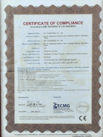 CE Certificate